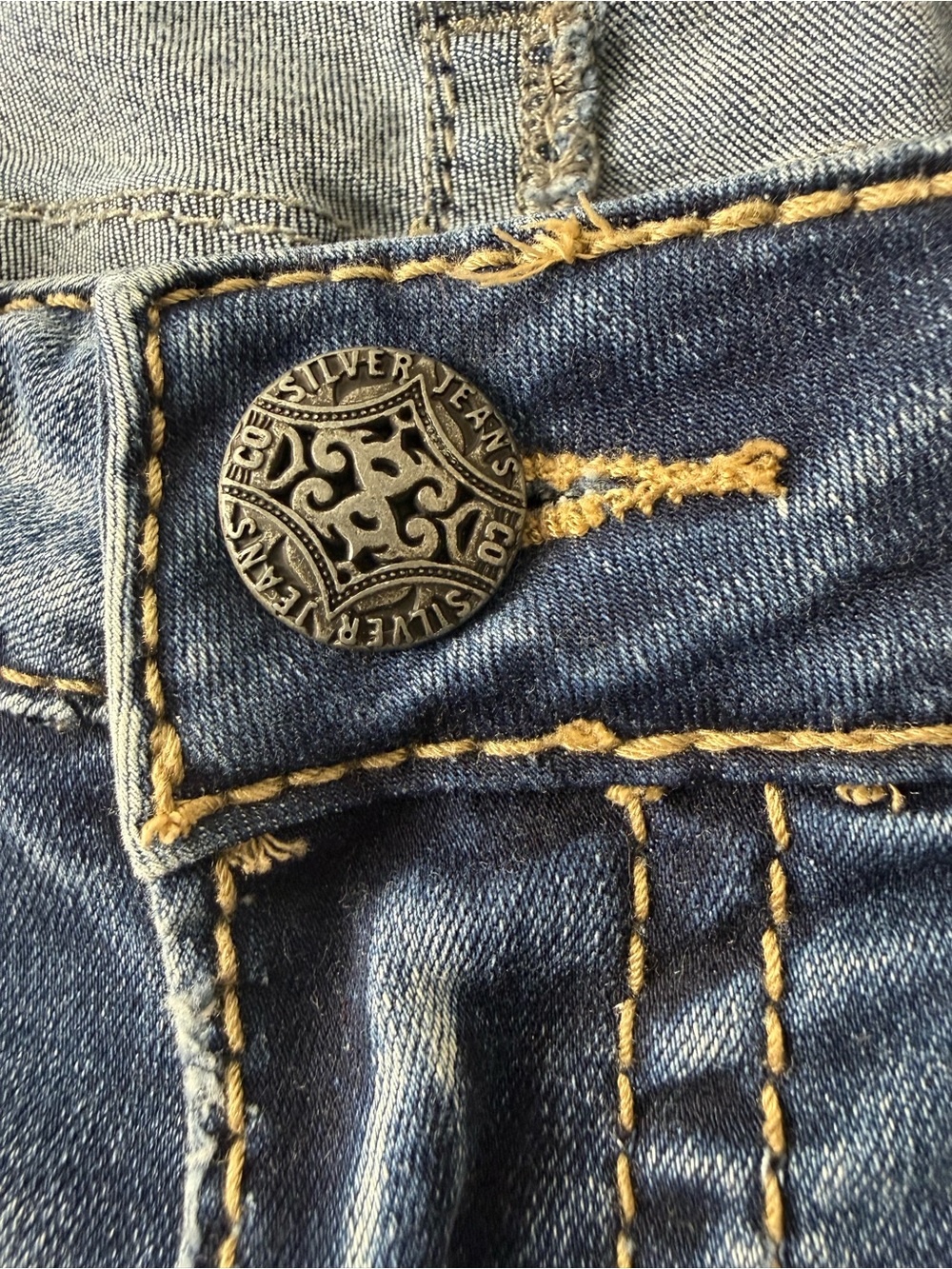 Silver Jeans Dark Wash Skinny Jeans